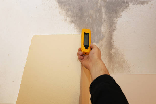 Best HVAC Mold Inspection and Cleaning  in Mission Viejo, CA