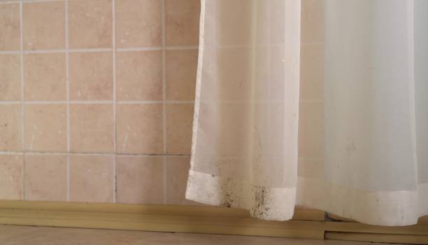 Best Airborne Mold Testing  in Mission Viejo, CA