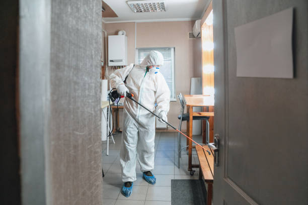 Best Biohazard Mold Removal  in Mission Viejo, CA