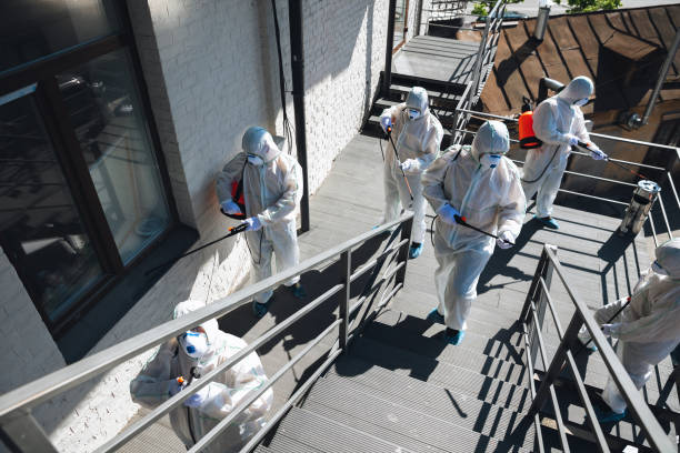Best Basement Mold Removal  in Mission Viejo, CA