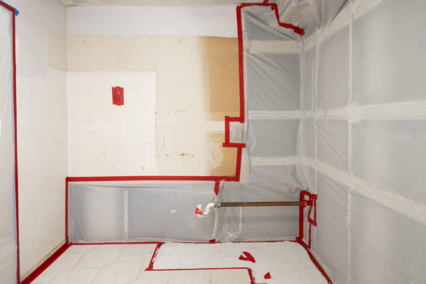Best Mold Remediation for Healthcare Facilities  in Mission Viejo, CA