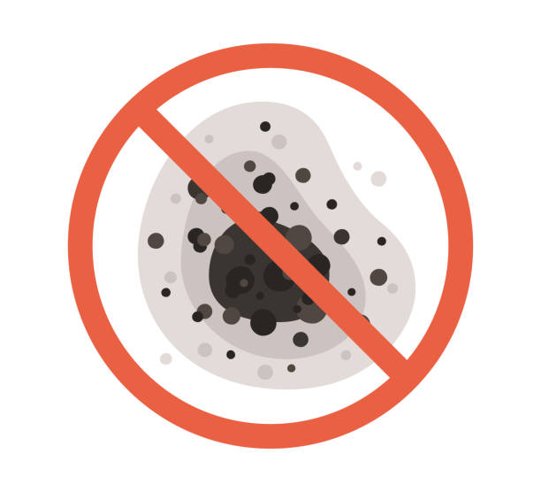 Best Mold Documentation for Insurance Claims  in Mission Viejo, CA