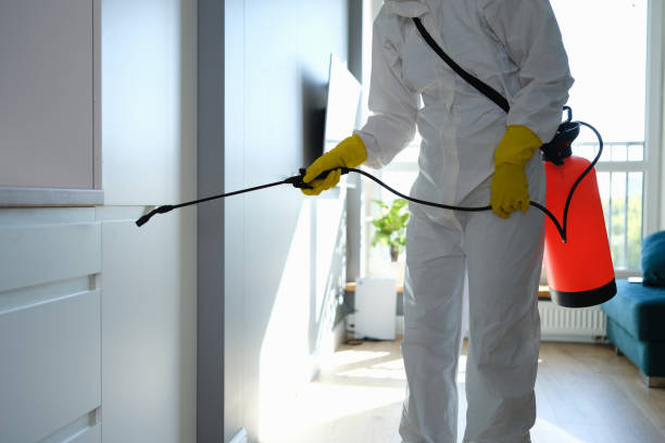 Best Forensic Mold Investigation  in Mission Viejo, CA