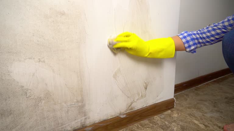 Best Dehumidification Services  in Mission Viejo, CA