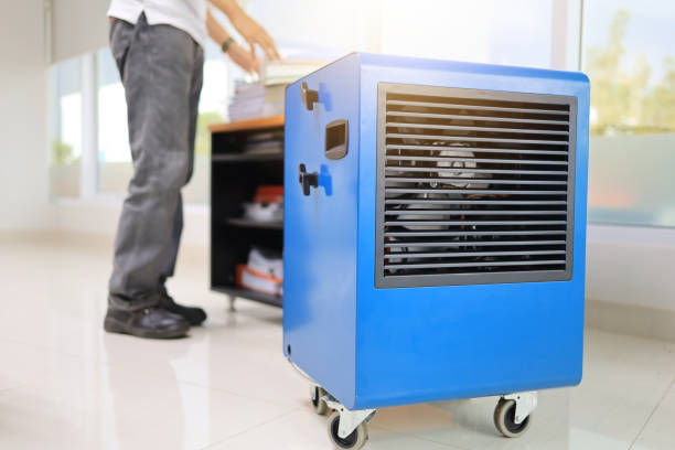 Best Mold Damage Restoration  in Mission Viejo, CA