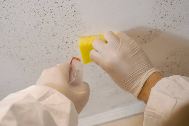 Best Mold Removal for HVAC Installations  in Mission Viejo, CA