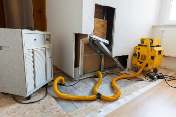 Mission Viejo, CA Mold Removal Company