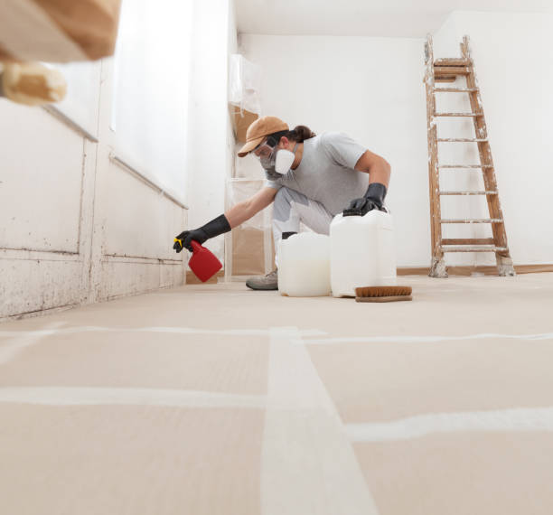 Best Real Estate Mold Inspection  in Mission Viejo, CA